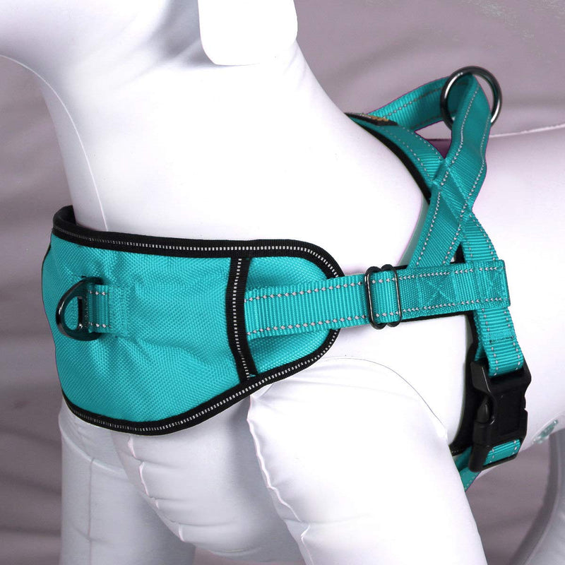 Max and Neo Passport Reflective Dog Harness - We Donate a Harness to a Dog Rescue for Every Harness Sold (Large (23"-30" Chest Girth), Teal) LARGE (23"-30" CHEST GIRTH) - BeesActive Australia