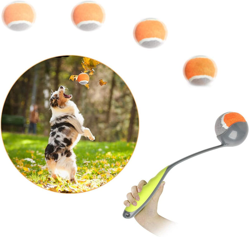 PAWISE Dog Ball Launcher, Dog Fetch Toy,12.2'' Dog Ball Thrower with 2.3'' Ball 1-pack - BeesActive Australia