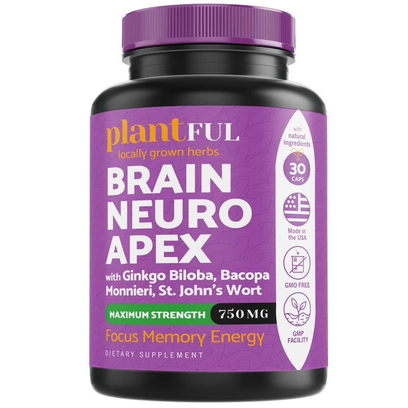 Nootropic Brain Supplement For Focus, Energy, Memory & Clarity Booster | Fast Absorption Brain Vitamins For Adults – Nootropics Pills With Ginkgo Biloba, St Johns Wort, Bacopa Monnieri