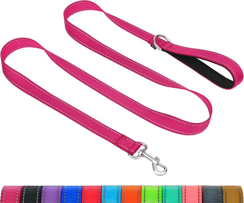 Taglory Dog Leash for Small Dogs, Double-Sided Reflective Dog Leash with Soft Neoprene Padded Handle, 3/4 inch by 4 ft, Fit Small Medium Large Breeds Dogs Under 20 lbs, Hot Pink 3/4 in x 4 ft (Pack of 1) - BeesActive Australia