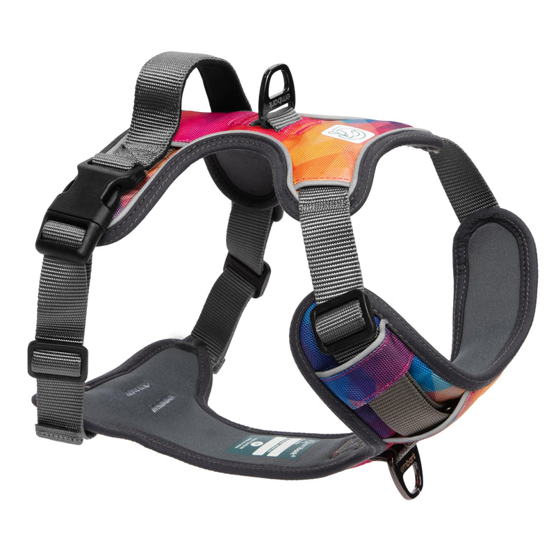 Embark Urban Dog Harness, No-Pull Reflective Trim Dog Harness for Small, Medium & Large Dogs - Military Grade Nylon, 2 Leash Clips & Gel Lined Handle. Soft & Padded Puppy Dog Vest for Any Breed M (Chest: 24-28") Aurora - BeesActive Australia