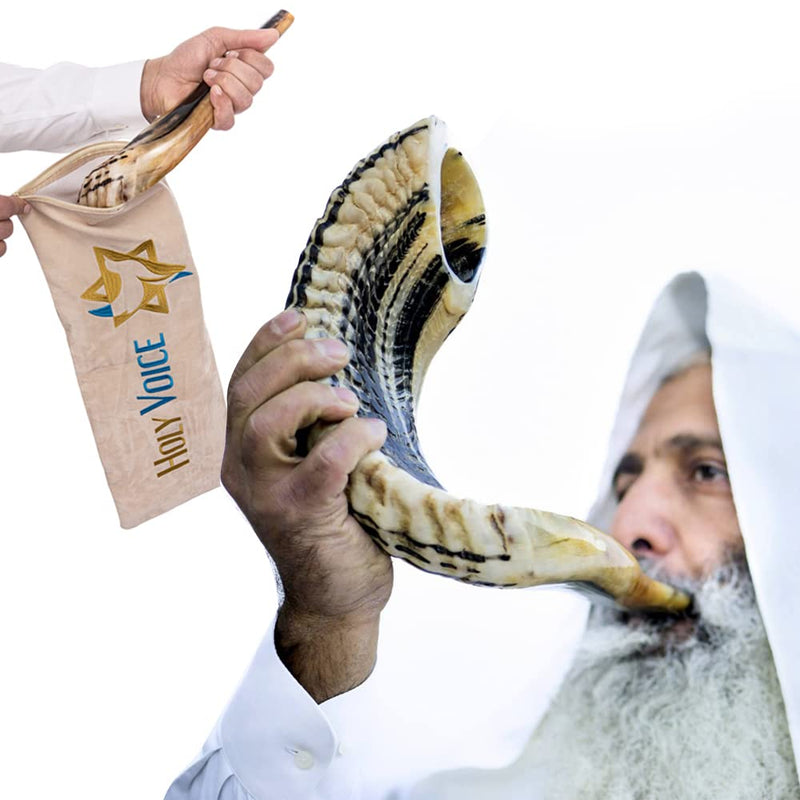 Handcrafted Kosher Ram Shofar from Israel – 16"-18" Musical Horn with Shofar Bag – Decorative, Functional Jewish Gifts for Women & Men by Holy Voice, Half Polished 16"-18" - BeesActive Australia