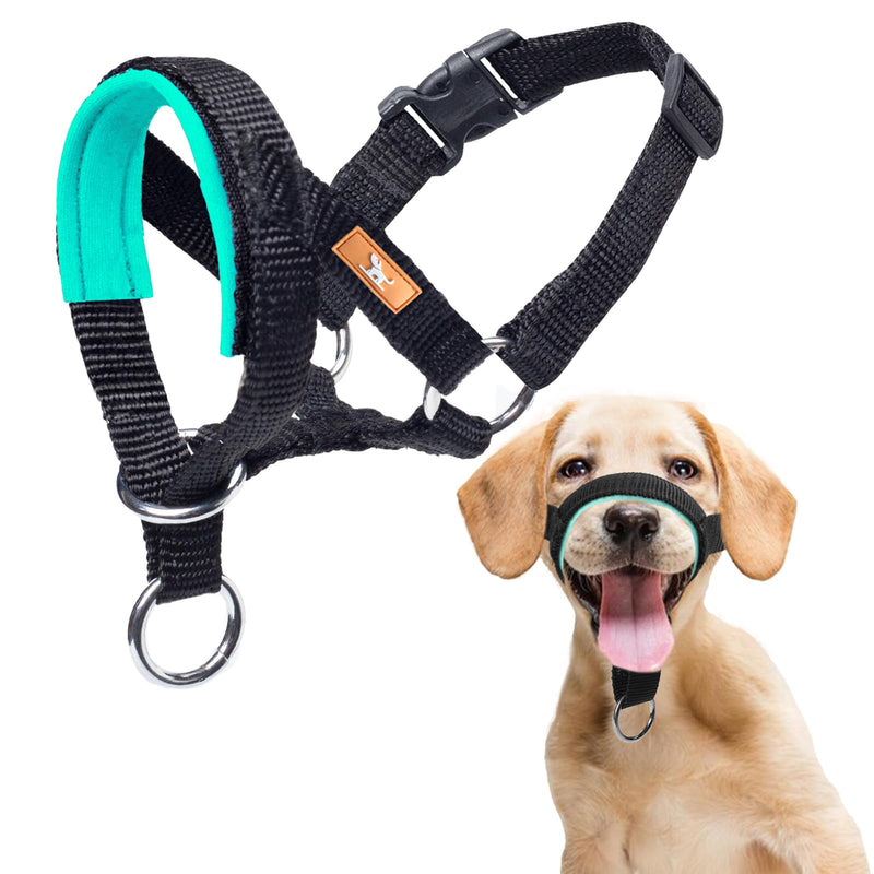 Dog Head Collar with Soft Fabric, Head Harness Stops Dog Pulling, Head Leash for Small Medium Large Dogs Walking (L, Green) L - BeesActive Australia