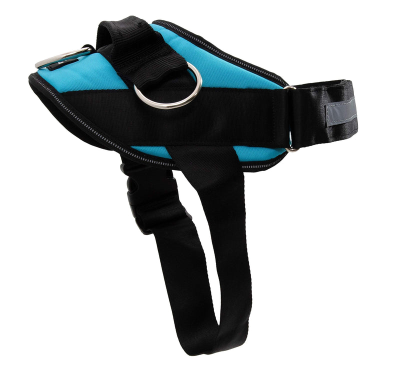 ShawnCo Essential Dog Harness, No-Pull Pet Vest with 3 Leash Clips, No Choke, Reflective, Adjustable and Padded, for Easy Walking and Training for Small, Medium and Large Dogs (Oceanic Blue, S) Oceanic Blue - BeesActive Australia