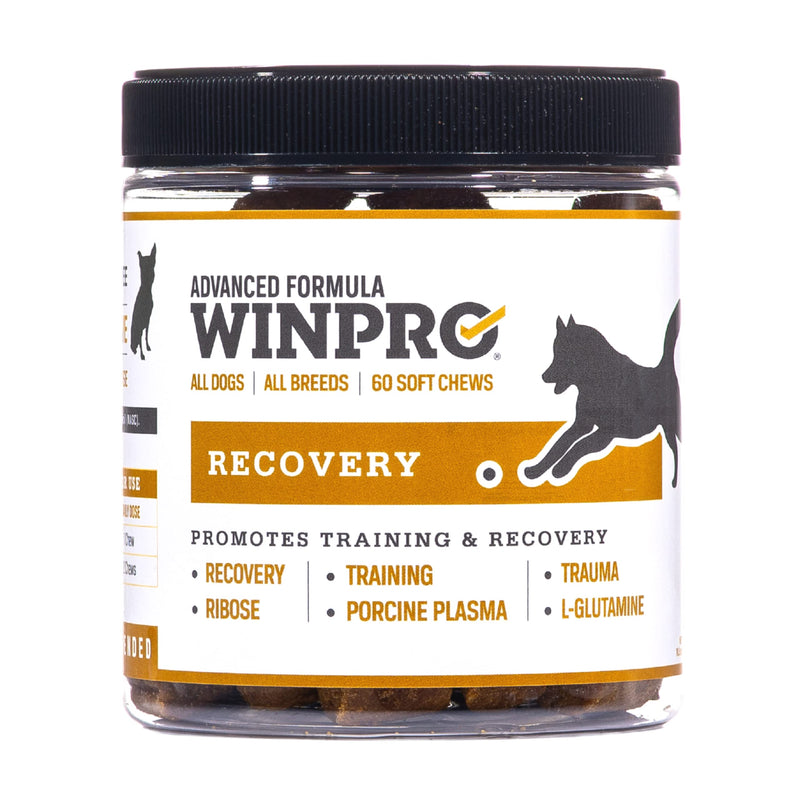 WINPRO Recovery Chews for Dogs, Plasma-Powered for Active Dogs, Immune System Support, and Dog Training Support for Competition and Sport Muscle Recovery and Agility, 60 Count, Made in USA - PawsPlanet Australia