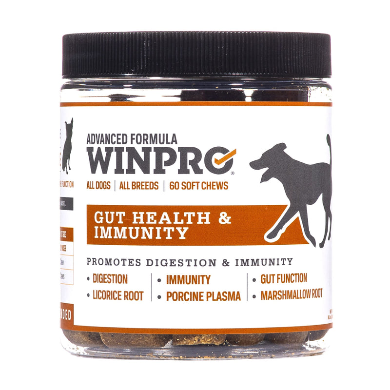 WINPRO Dog Gut Health Supplements – Plasma-Powered Chews for Dog Immune Support & Digestive Health, Fast-Acting Solution for Gut Health for Dogs of All Breeds & Sizes, 60 Count, Made in USA - PawsPlanet Australia