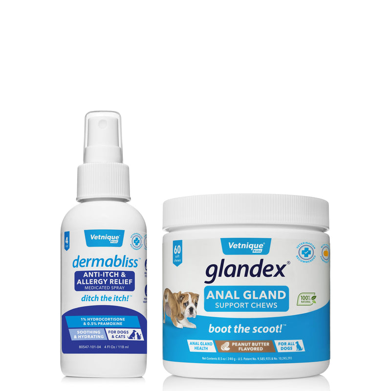 Dermabliss Anti-Itch & Allergy Relief Spray (4oz) and Glandex Anal Gland Support Chews 60ct Bundle Vet-Strength Anal Gland Dog Treats, Hydrocortisone Spray Itch Relief for Dogs - PawsPlanet Australia