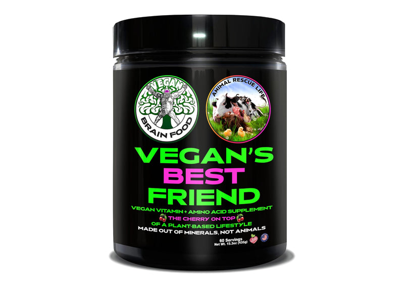 Vegan's Best Friend - Plant Based Multivitamin For Men & Women - Brain, Memory, Energy, Immune, Mood & Stress Support - Replaces 7 Supplements - Creatine, B12, D3, Choline, Zinc, Taurine - 60 Servings 1.11 Pound (Pack of 1)