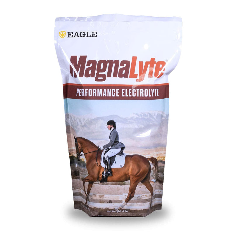 MagnaLyte Loose Salt and Electrolytes for Horses by Eagle Equine | Mineral sea Salt, Trace Minerals, Electrolytes | 4 lb Bag 4lb Bag
