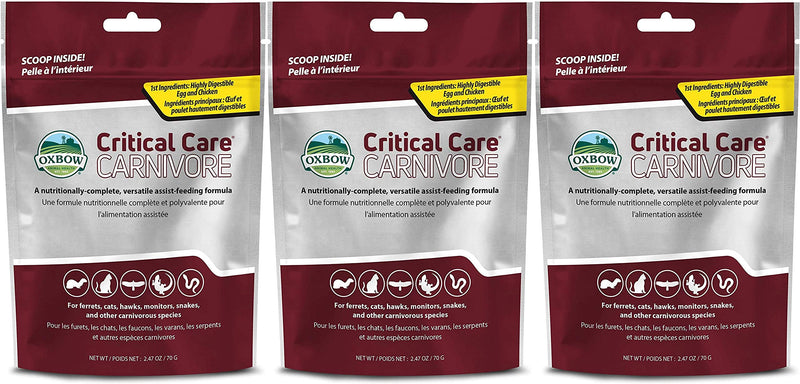 Oxbow 3 Pack of Critical Care Carnivore, 2.47 Ounces Each, Support Supplement for Small Pets - PawsPlanet Australia