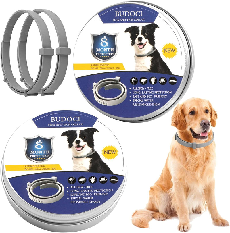 Flea Collar for Dogs 2 Pack Natural Flea and Tick Collar for Dogs 8 Month Prevention Puppys Collars 24 Inch Adjustable Large Collars - BeesActive Australia