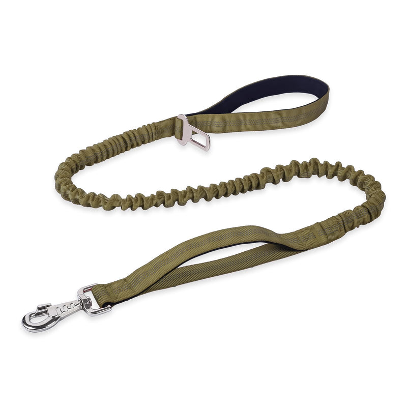 BUMBIN 6Ft Dog Leash, Bungee Dog Leash with 2 Handles, Heavy Duty Leashes for Medium Small Dogs, No Pull Shock Absorbing with Car Seat Belt for Training, Green