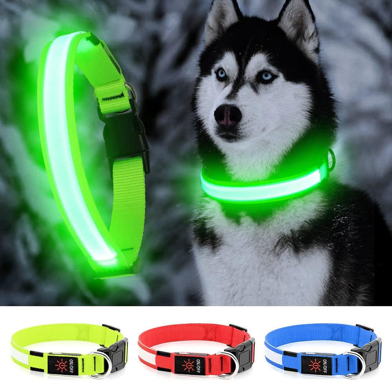 LED Dog Collar- Light up Dog Collars, LED Collar Waterproof, Adjustable Flashing Dog Collar, Rechargeable Dog Collar Visiblity & Safety for Your Dogs (Green, Large) Green - BeesActive Australia