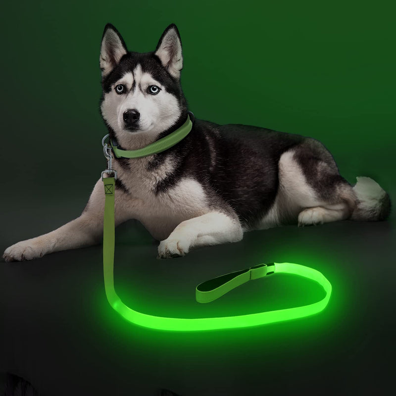 Colaseeme LED Dog Leash Light Up Dog Leash 4 Feet Micro USB Rechargeable Nylon Webbing Glow Safety Standard Dog Leash for Dogs (Green) Green - BeesActive Australia