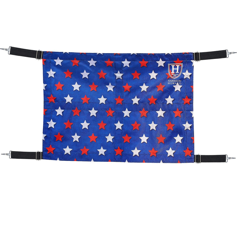Harrison Howard Horses Stall Guard with Adjustable Straps and Sturdy Spring Hooks Included Aisle Guard for Horses-Longing Stars Longing Star - BeesActive Australia