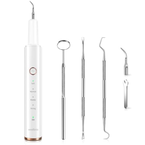 Plaque Remover for Teeth, Electric Tartar Remover for Teeth with LED Light,4 Modes Rechargeable