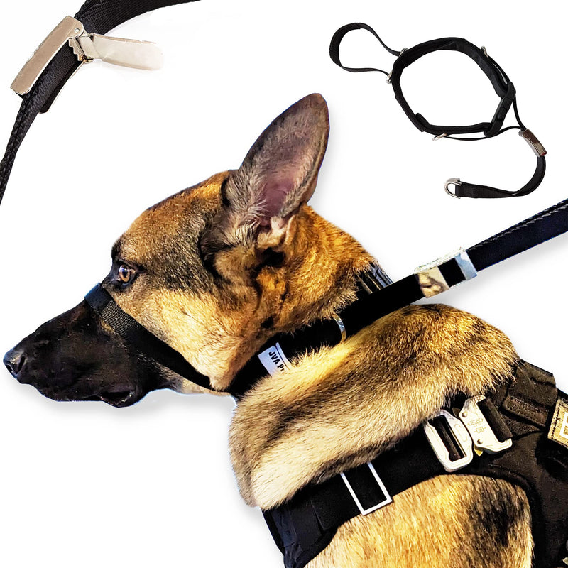 Dog Headcollar for Pulling Dogs, No-Pull Dog Collar for Large or Small Dogs. Makes Your Walking Easy and Peaceful. Stops Pulling, Lunging, Jumping; Dog Headcollar No Pull (M) Medium (M) - BeesActive Australia