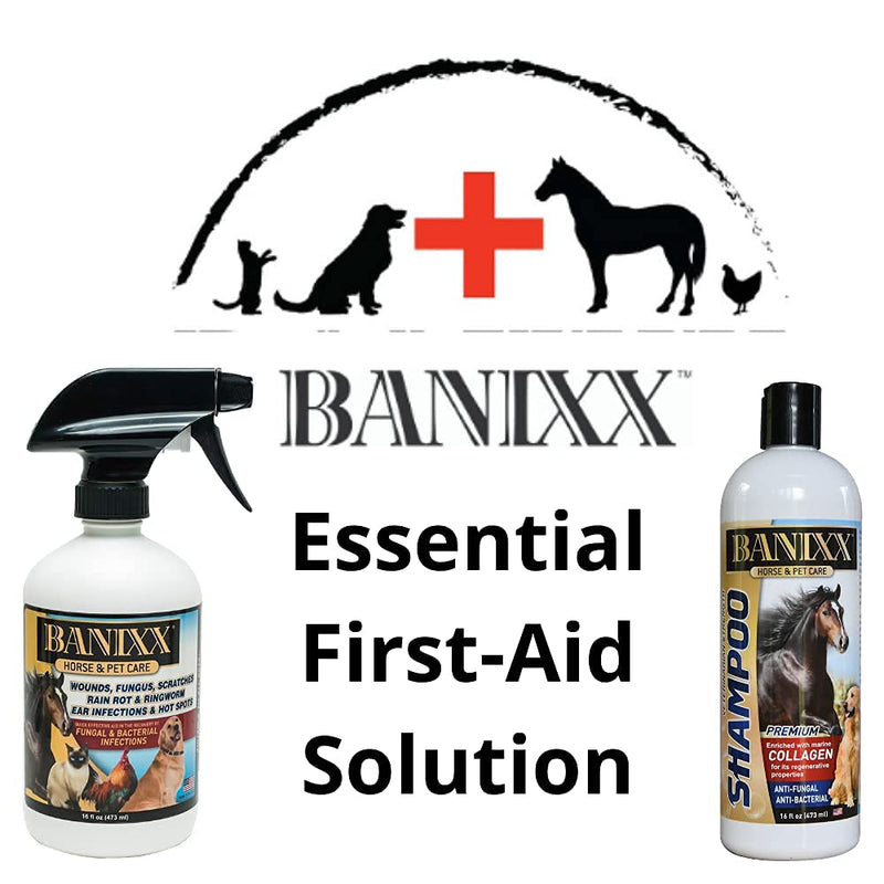 BANIXX Essential First-Aid Solution