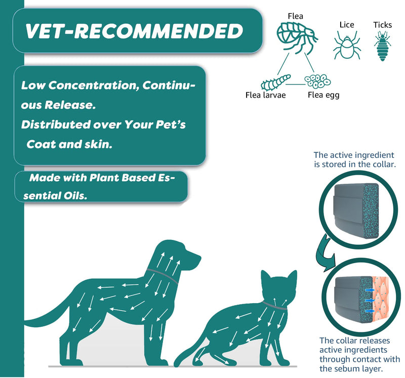 Flea and Tick Collar for Cats, Natural Plant-Based Ingredients for Treatment and Prevention, Safe and Waterproof, with Free Flea Comb, Tick Tweezer, and Treatment Prevention Drops, 13.8 in (2 Packs) - BeesActive Australia