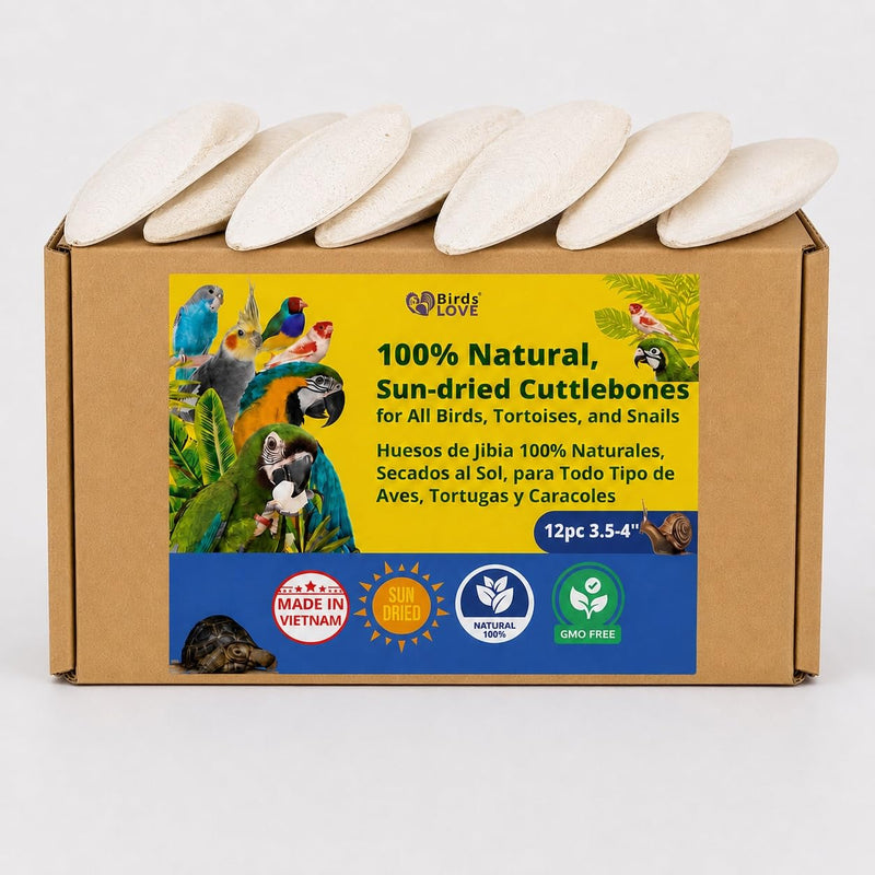 Birds LOVE 3.5-4″ Cuttlebone for Birds – 100% Natural Sun-Dried Calcium Carbonate Mineral Supplement – for Parakeets, Budgies, Cockatiels, Finches & Canaries – 12 Pack with Holder – Made in Vietnam 3.5" - 4" 12 Count (Pack of 1)