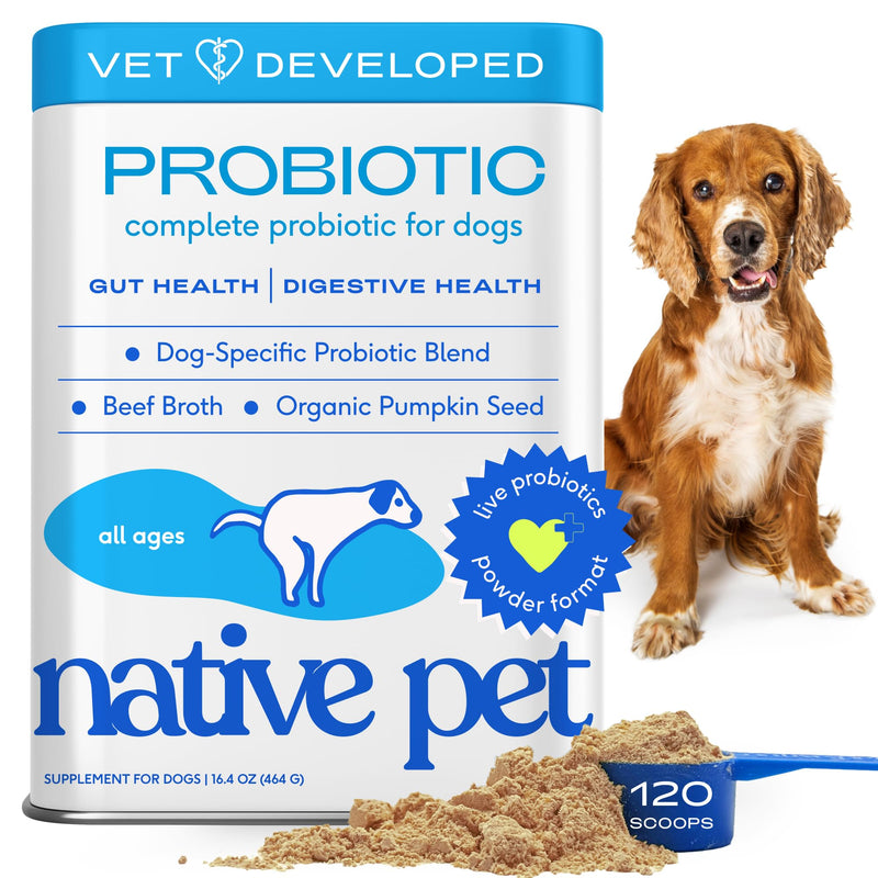 Native Pet Probiotics for Dogs – Dog Probiotic Powder for Gut & Digestive Health, Vet-Formulated 6B CFUs Dog-Specific Probiotic Strains, Supports Stool Quality & Diet Transitions – 120 Scoops 120 Servings