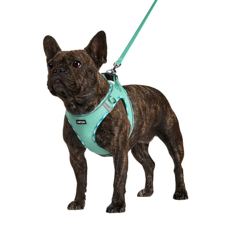 AMTOR Small Dog Harness with Leash Set, No Escape Easy Walk Puppy Harnesses for Training Walking, Step-in Reflective Soft Dogs Vest for XS S Medium Extra-Small Large Sized Dog(Green,S) Small(Chest:13"-15") Green - BeesActive Australia