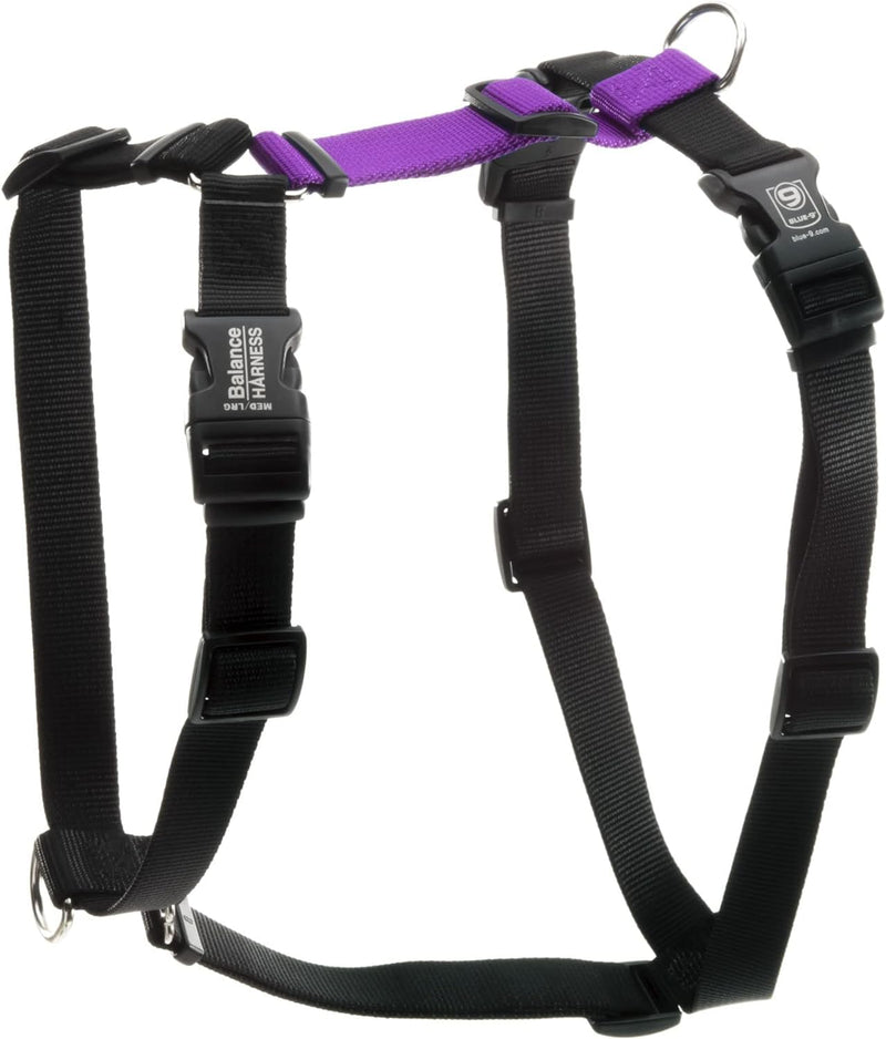 Blue-9 Buckle-Neck Balance Harness, Fully Customizable Fit No-Pull Harness, Ideal for Dog Training and Obedience, Made in The USA, Purple, Medium/Large M/L (Ribcage: 24"-35.5") - BeesActive Australia