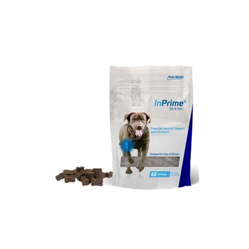 Hip and Joint Soft Chews for Dogs, 60 Count - PawsPlanet Australia