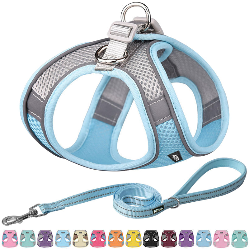 AIITLE Step in Dog Harness and Leash Set - Summer No Pull Escape Proof Vest Harnesses with Soft Mesh and Reflective Bands, Adjustable Pet Outdoor Harnesses for Small and Medium Dogs Blue M M(Chest: 16 - 18") Blue-Grey - BeesActive Australia
