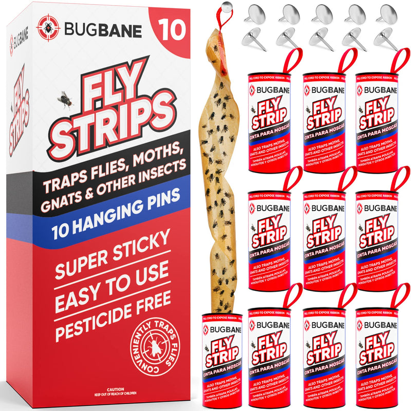 10 Fly Strips Indoor Sticky Hanging with Pins. Fly Trap Fly Paper Strips Indoor Hanging Fly Tape for Indoors and Outdoor. Fly Catcher Fly Ribbon Sticky Fly Traps for Indoors Flypaper. Fruit Gnat Traps - BeesActive Australia