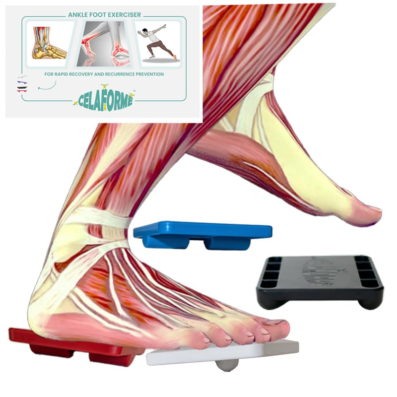 Ankle Foot Exerciser¬Æ Ankle Strengthener for ankle sprain relief, Foot Strengthener for plantar fasciitis; Ankle mobility, Posture corrector, Pilates board for home - BeesActive Australia