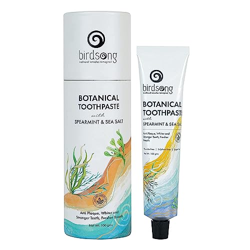 Birdsong Botanical Sea Salt and Spearmint Toothpaste 3.5 oz (100 GMS)