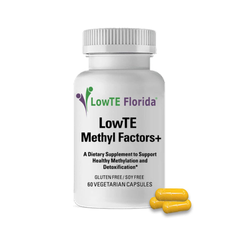 Methyl Factors + - 60 Capsules I B Vitamins, Folate & Riboflavin for Normal Heart, Liver & Brain Function*, Energizing & Mood Boosting Supplement