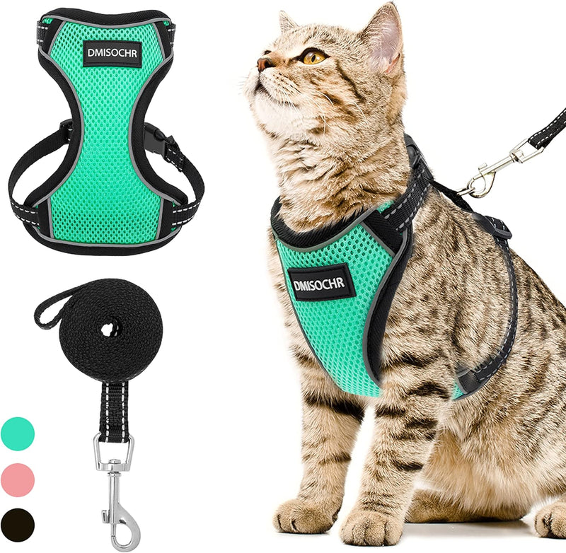 Cat Harness and Leash Set for Walking Escape Proof - Reflective Adjustable Cat Vest Harness for Small to Large Cat Puppy - Cute Mesh Breathable Soft Cat Full Body Harness M (neck:11"-14.3" chest:16"-20") Cyan - BeesActive Australia