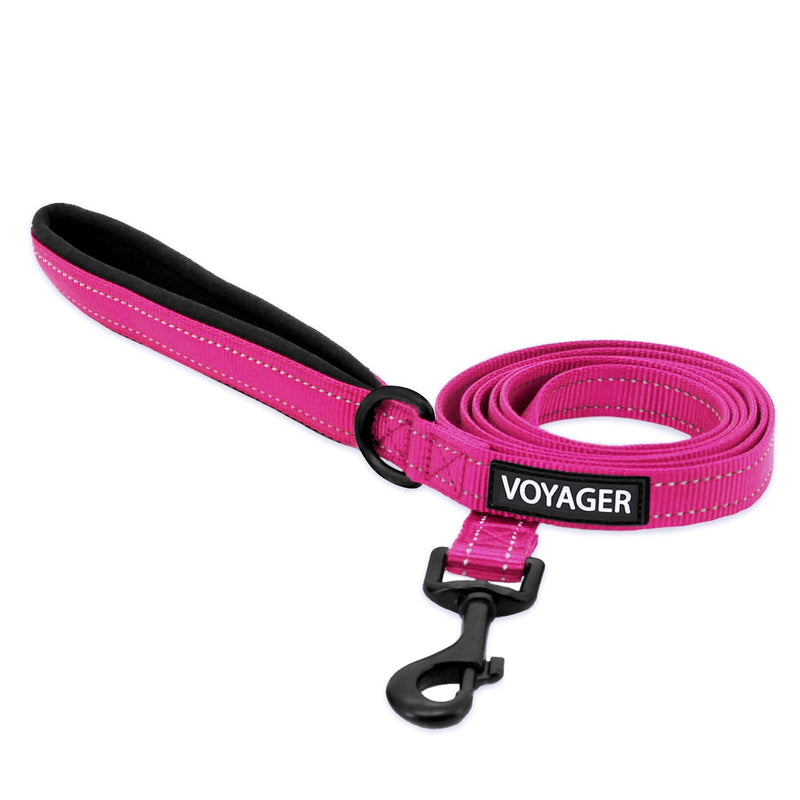 Voyager Reflective Dog Leash with Neoprene Handle, 5ft Long, Supports Small, Medium, and Large Breed Puppies, Cute and Heavy Duty for Walking, Running, and Training - Fuchsia (Leash), S Leash (Fuchsia) 5/8" x 5ft - BeesActive Australia