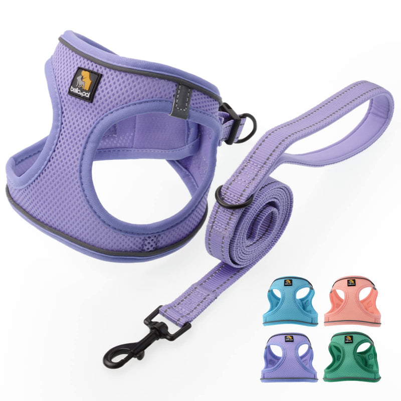 BELLA & PAL Puppy Harness with Leash Set, Dog Harness for Small Dogs No Pull, Dog Leash for Small Dogs, Step in Harness for Extra Small Dogs, Purple Lavender Harness, S - BeesActive Australia