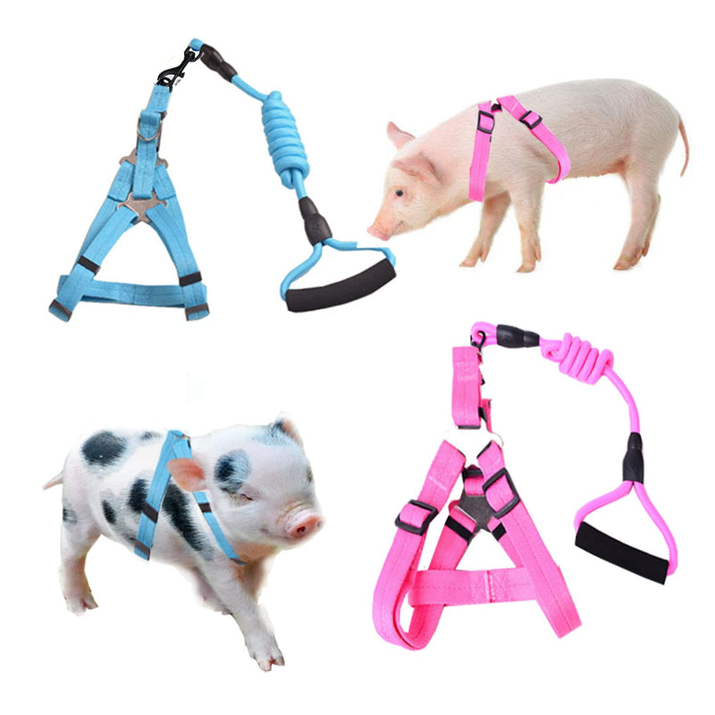 Animal Harness, Medium, Pink and Blue - 2 Pieces Adjustable Harness with Leash Set for Small Pig, Dog, Rabbit Walking, Running and Playing - BeesActive Australia