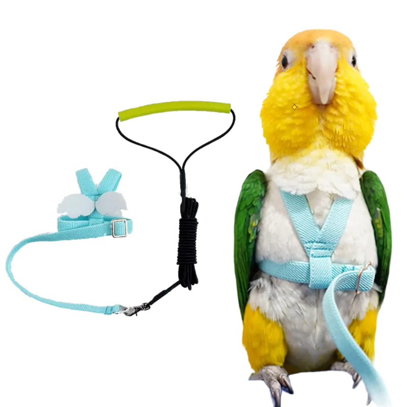 Pet Parrot Bird Harness Leash Adjustable Bird Flying Harness Traction Rope with Cute Wing for Parrots Pigeons Budgerigar Lovebird Cockatiel Mynah Outdoor Training Toy (M, Blue) Medium - BeesActive Australia