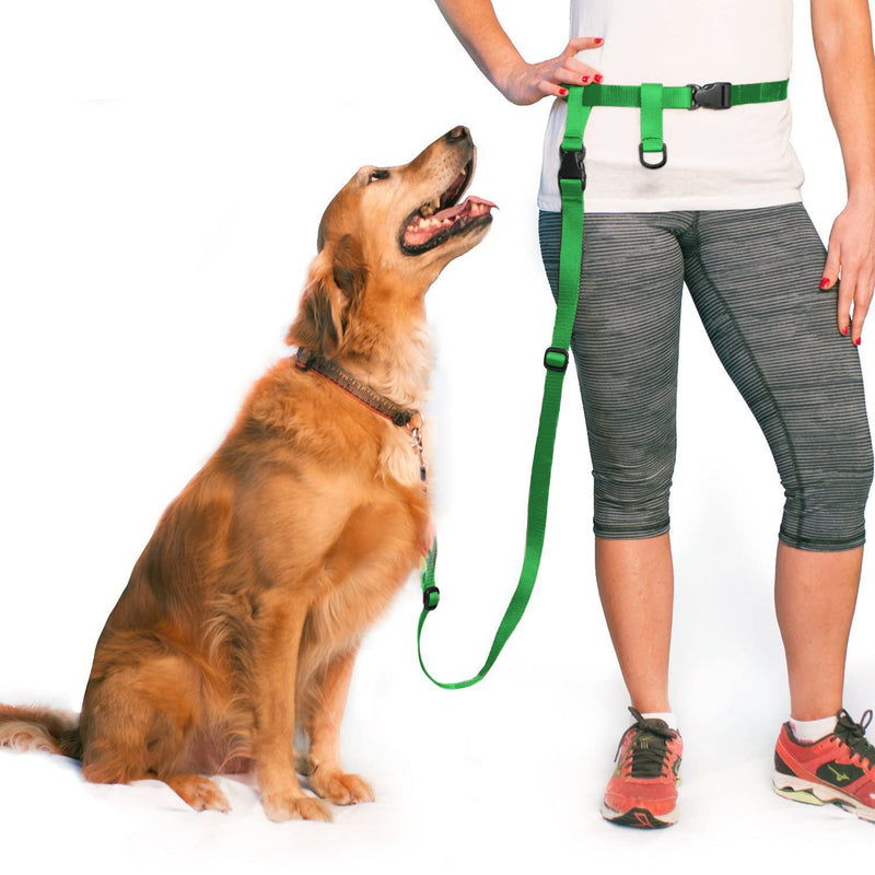 The Buddy System Hands Free Dog Leash, Adjustable Leash for Running, Jogging, Training and Service Dogs, Great for Small, Medium and Large Dogs, Made in USA (Green, Regular Belt (22"- 40" Waist)) Regular Dog System (Regular Belt (22"- 40" Waist)) Green
