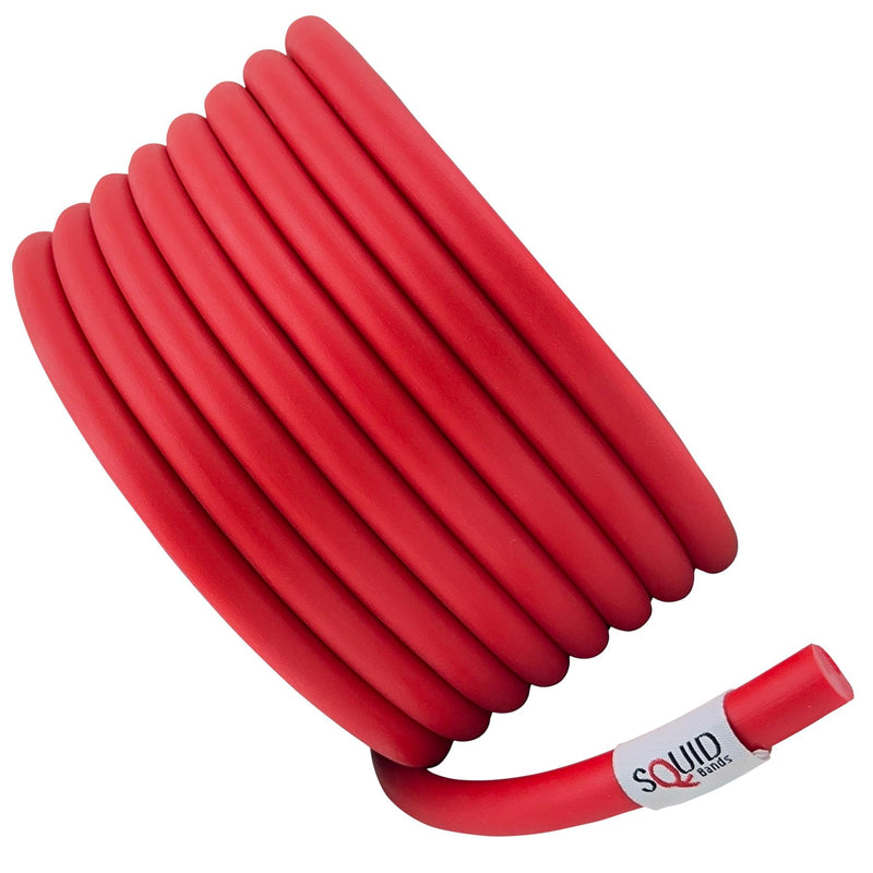 Wrestling, Jiu Jitsu, Judo, Grappling, MMA, Boxing, Muay Thai, Solo Training, Resistance Band Red (Medium) Small