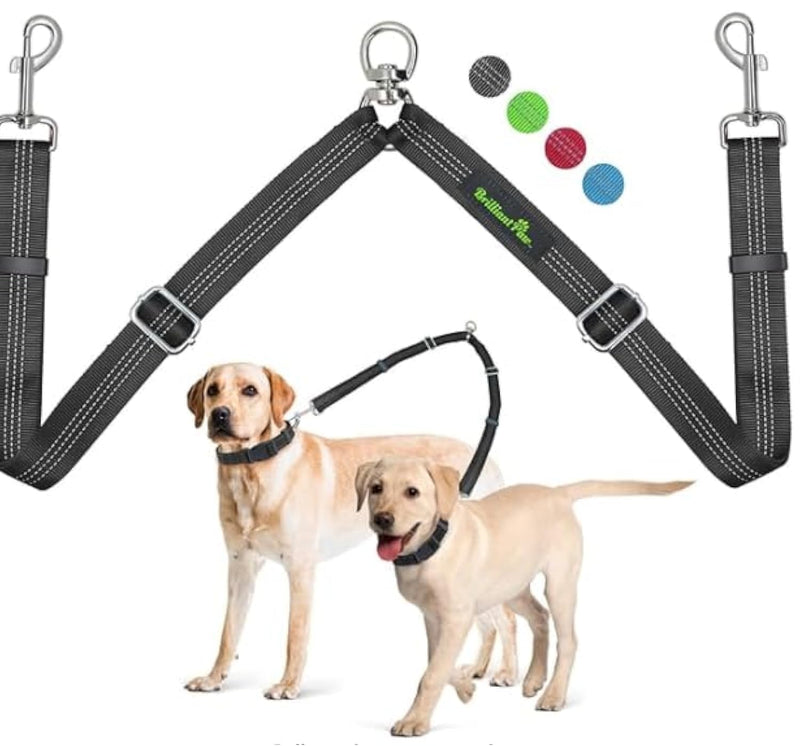 Double Dog Leash, Two Dog Leash Splitter, Adjustable Length and Tangle Free, Heavy Duty Walking Training Dual Dog Leash Extension for Medium and Large Dog, Black Medium+Large - BeesActive Australia