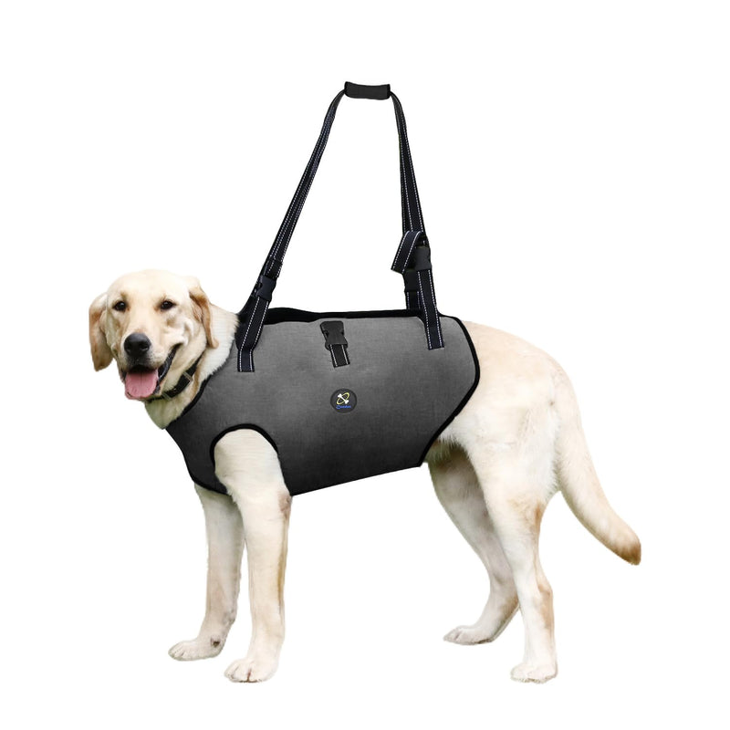 Coodeo Dog Lift Harness, Pet Support & Rehabilitation Sling Lift Adjustable Padded Breathable Straps for Old, Disabled, Joint Injuries, Arthritis, Loss of Stability Dogs Walk (Grey, M) Medium Grey - BeesActive Australia