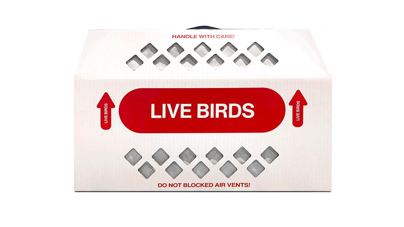 Shipping Box for Live Birds Economy Size 18" x 8" x 12" Tall with Handle - for Poultry, Pigeons, & Canaries -1 Box 1 ct - PawsPlanet Australia