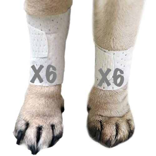 Basic leg bandages for dogs, cats, pets -First- aid non adhesive fur friendly, soft stretch wound care, hot spots, fungus, ADJUSTABLE FASTENING STRAP Value pack (2XS/XS 12-Pack) 2XS/XS 12-Pack - BeesActive Australia