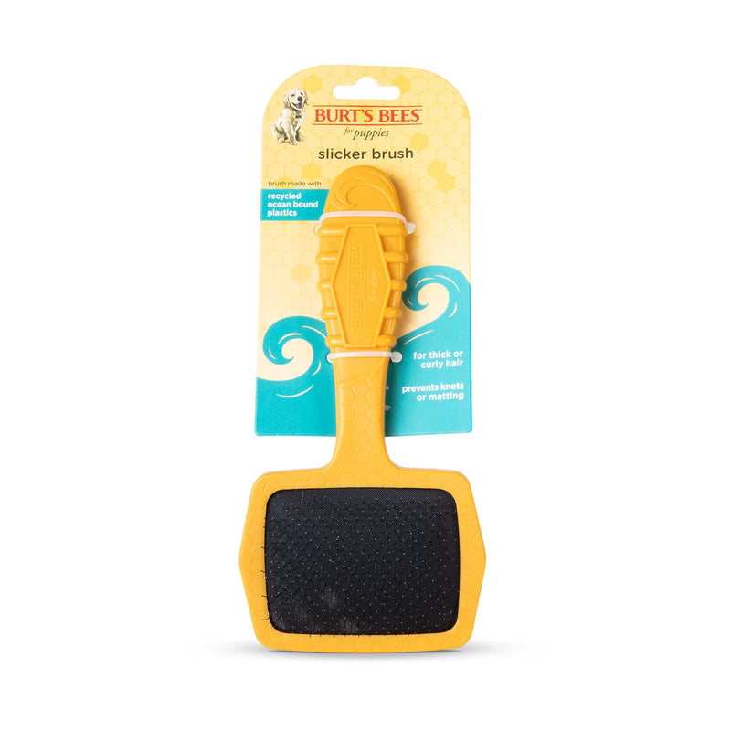 Burt’s Bees for Pets Small Slicker Brush for Dogs with Thick or Curly Hair with Handle Made from Recycled Plastics Collected from Coastal Communities | De-Shedding Dog Brush Removes Knots and Matting Plastic Slicker Brush 7 Inch - BeesActive Australia