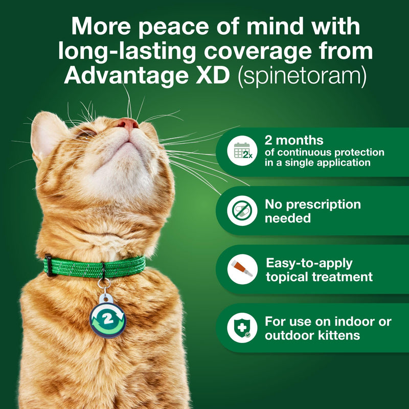 Advantage XD Large Cat Flea Prevention & Treatment For Cats over 9lbs. | 2-Topical Doses, 2-Months of Protection Per Dose 2 Pack - BeesActive Australia