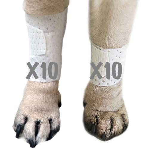 Basic leg bandages for dogs, cats, pets -First- aid non adhesive fur friendly, soft stretch wound care, hot spots, fungus, ADJUSTABLE FASTENING STRAP Value pack (Medium 20-Pack) Medium 20-Pack - BeesActive Australia