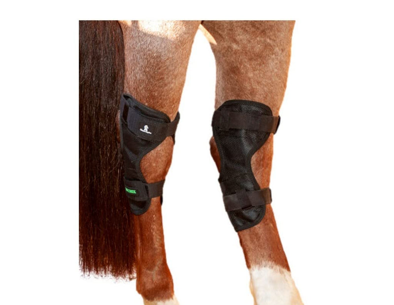 Classic Equine MagNTX Hock Wrap - BeesActive Australia