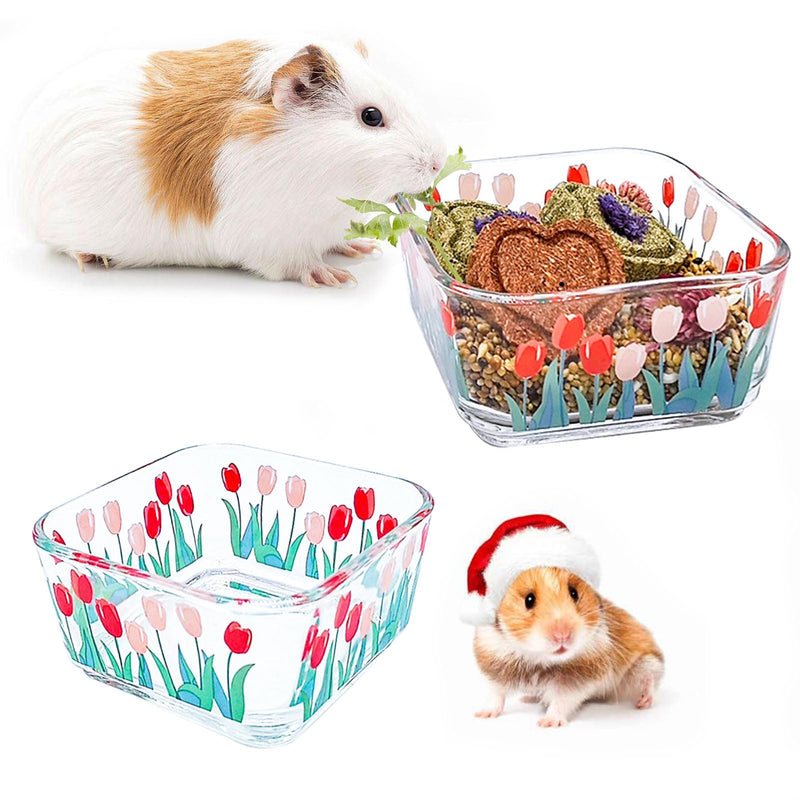 Hamster Food Bowl Glass Tulip Guinea Pig Food Dish Bowl Bunny Feeding & Water Bowls for Small Animals Syrian Hamsters Gerbil Ferret Mice Rats Rabbit Chinchilla Hedgehog (2 Pack) - BeesActive Australia