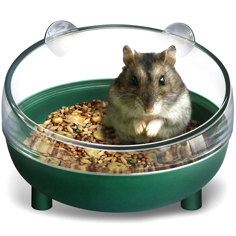 Hamster Food Bowl, Elevated Tilted Pet Feeder, Reduces Neck Strain, Suitable for Dwarf Hamsters, Gerbils, Mice, Puppies, and Other Small Animals Green - BeesActive Australia